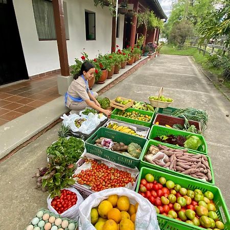 Гостевой дом Posada Del Camino Real Моникира Экстерьер фото